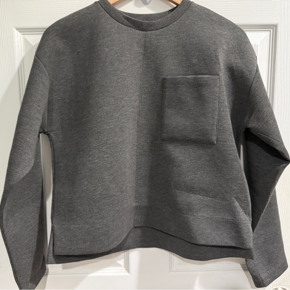 Everlane Charcoal Crewneck Sweatshirt